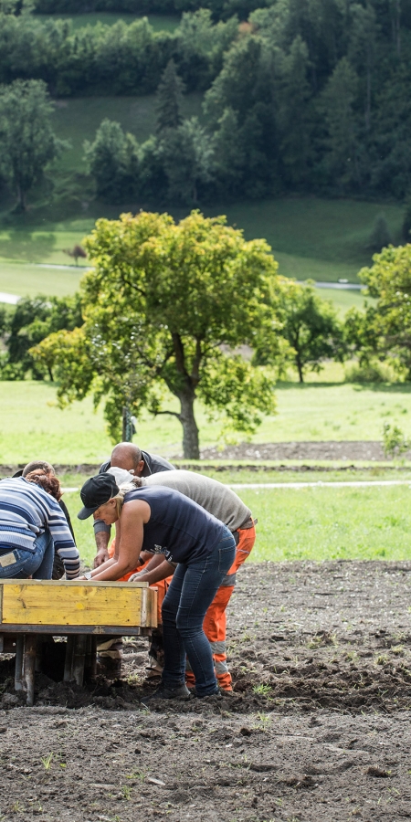 Strenge Arbeit auf dem Feld.